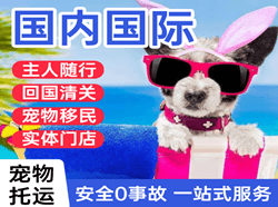 浦东航空物流国际宠物托运 【国